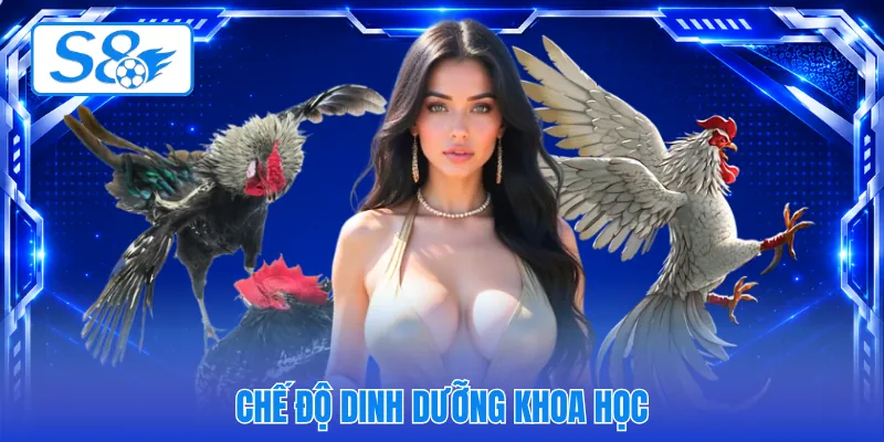 Chế độ dinh dưỡng khoa học