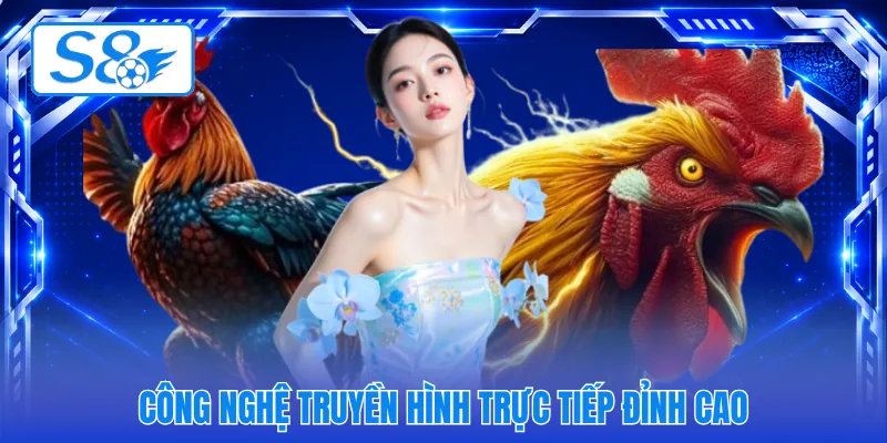 Công nghệ truyền hình trực tiếp đỉnh cao