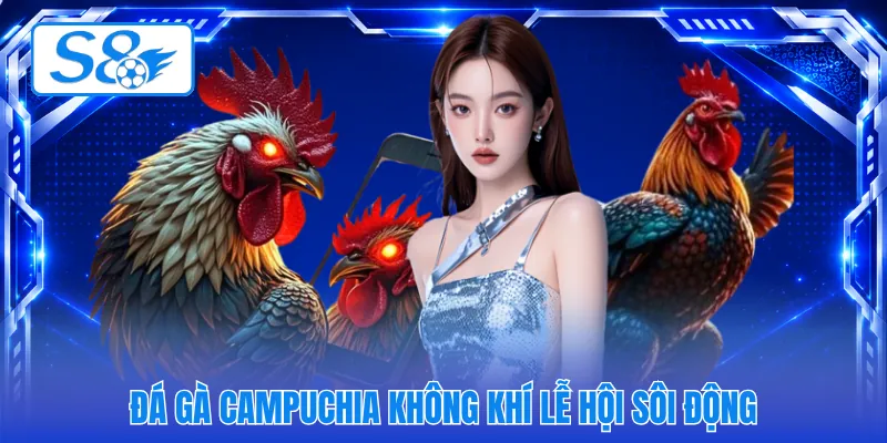 Đá gà campuchia không khí lễ hội sôi động