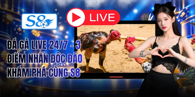 Đá Gà Live 24/7
