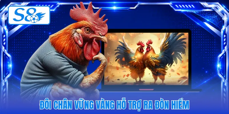 Đôi chân vững vàng hỗ trợ ra đòn hiểm