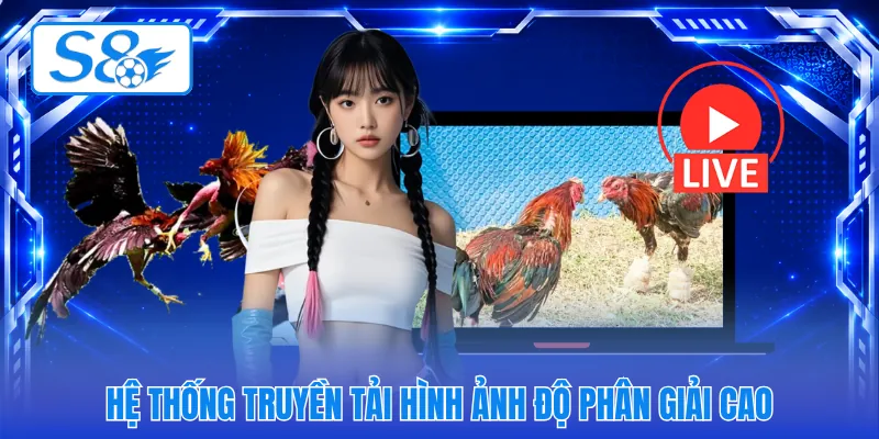 Hệ thống truyền tải hình ảnh độ phân giải cao