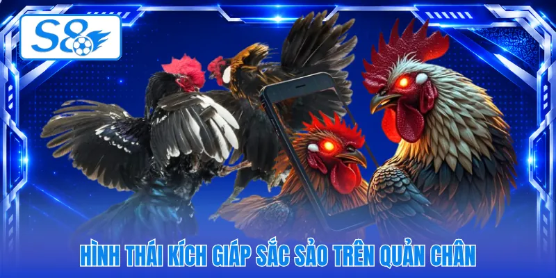 Hình thái kích giáp sắc sảo trên quản chân