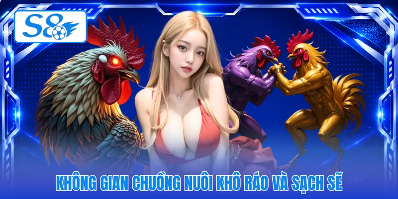 Không gian chuồng nuôi khô ráo và sạch sẽ