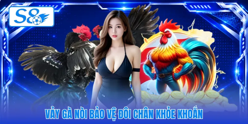 Vảy gà nòi bảo vệ đôi chân khỏe khoắn